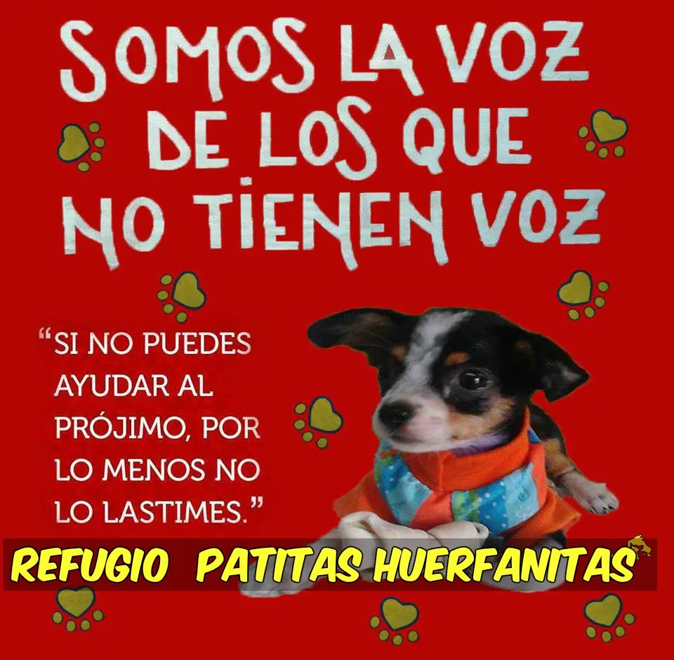 Responsabilidad Social