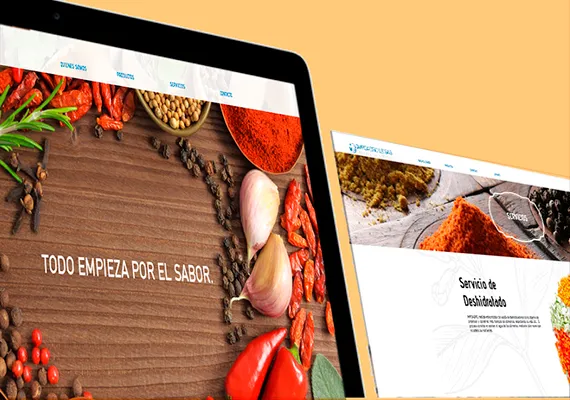 Diseño de Portal web  www.impoagrols.com (2016)