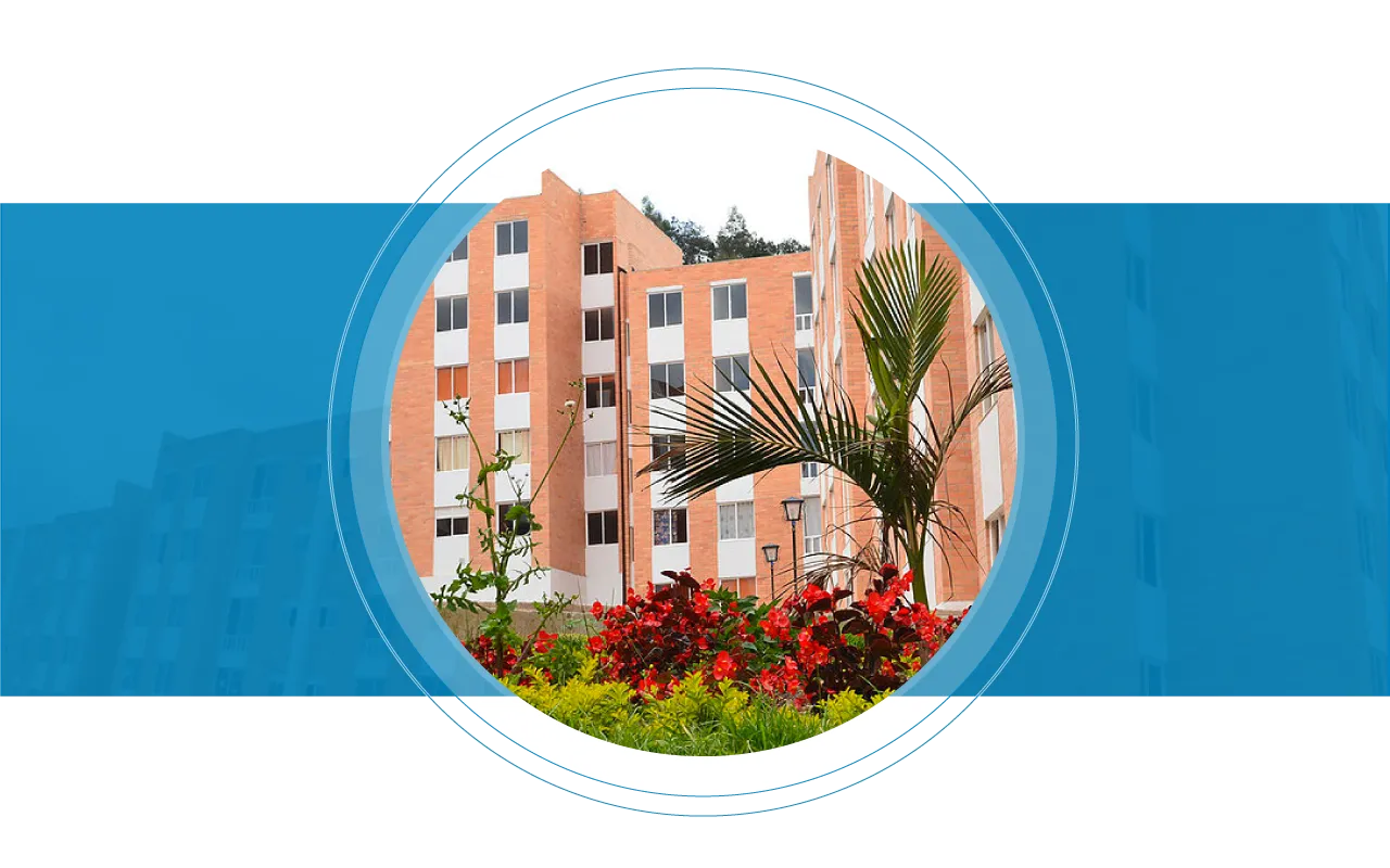 imagen del proyecto